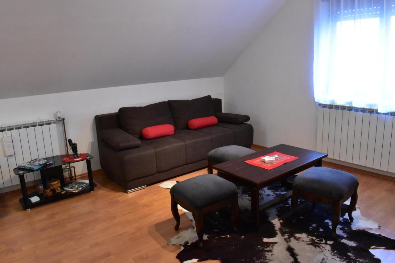 Apartman Skender 3* Ravna Gora Leilighet Eksteriør bilde